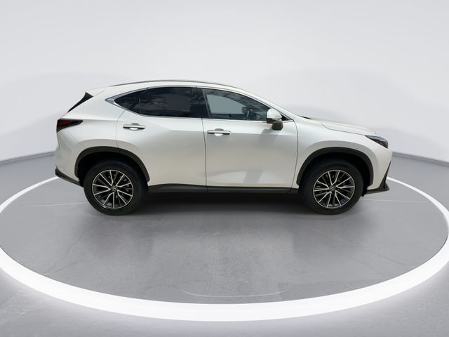Used 2024 Lexus NX SUV