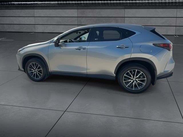 2025 Lexus NX - $47,888