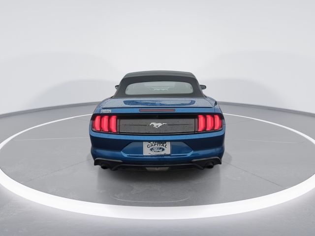 Used 2022 Blue Ford EcoBoost Premium image 7