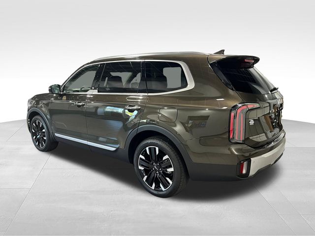2024 Kia Telluride SX Green at Matthews Motors of Wilmington