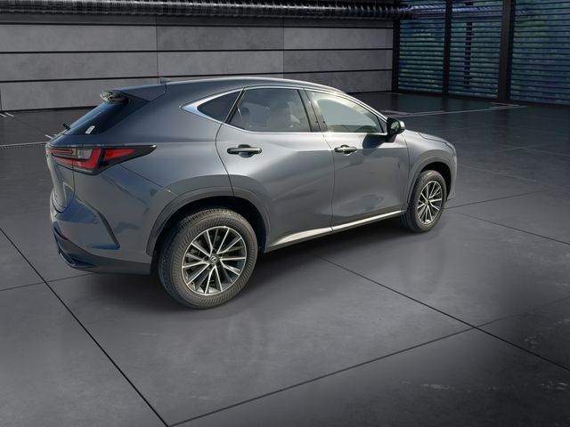 2024 Lexus NX - $40,588
