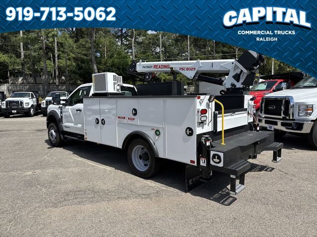 New 2024 White Ford 11FT CRANE BODY image 8