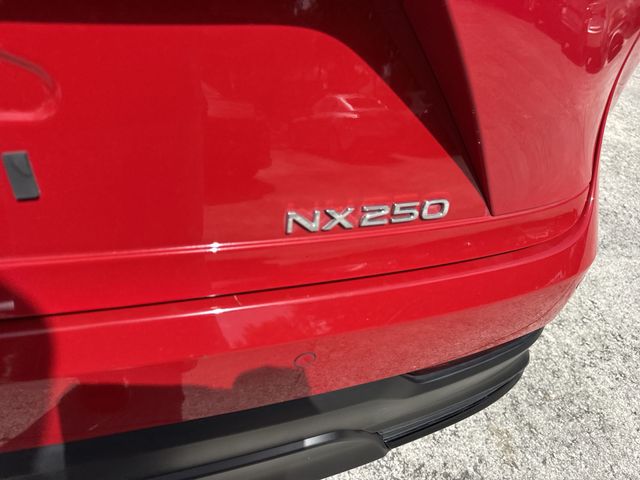Used 2025 Lexus NX SUV