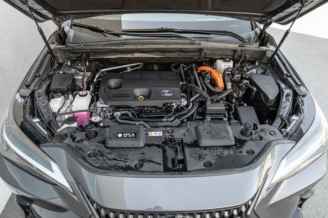 2024 Lexus NX 350h Premium photo