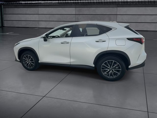 2025 Lexus NX - $42,988