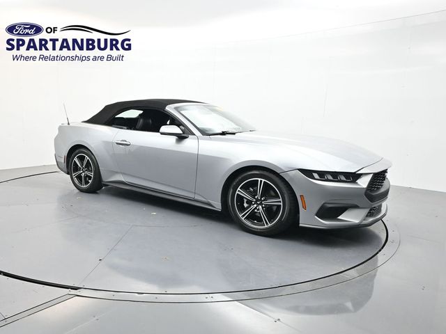 Silver Metallic 2024 Ford Mustang Convertible Rear-Wheel Drive Automatic
