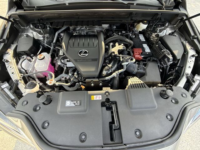 Used 2026 Lexus NX SUV