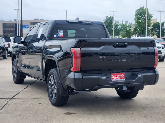 2025 Toyota Tundra Platinum Black at Emmons Autoplex