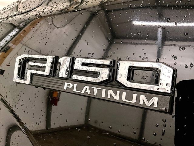 2019 Ford F-150 Platinum Black at Luther Ford