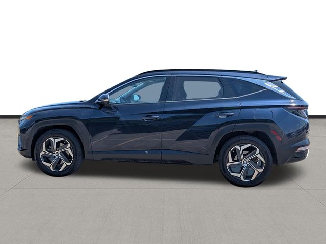 2023 Hyundai Tucson Hybrid Limited Blue at Monument Chevrolet