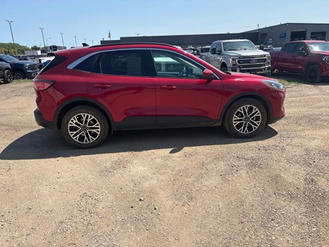 2020 Red Ford Escape SEL AWD SUV
