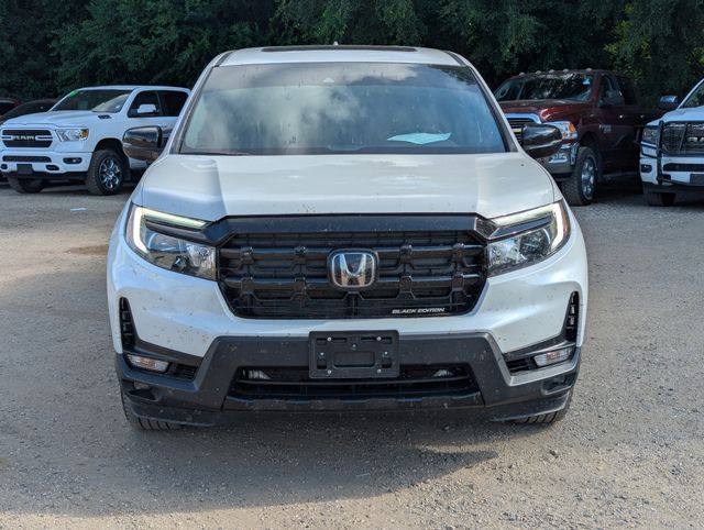 2025 White Honda Ridgeline Black Edition AWD Truck