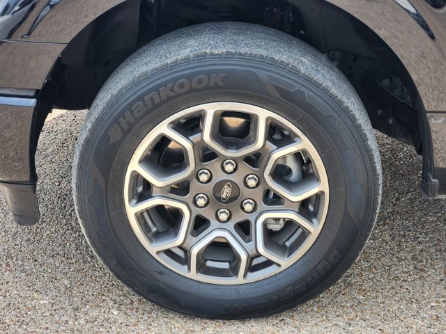 2021 Agate Black Metallic Ford F-150 XL RWD Truck