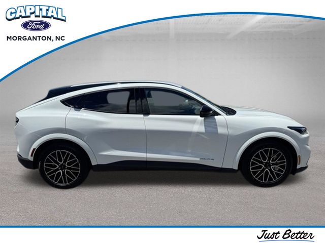 New 2026 White Ford Premium image 13
