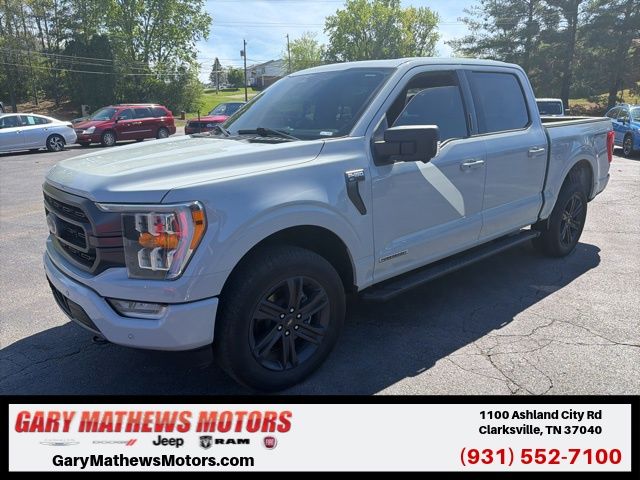 Avalanche Gray 2023 Ford F-150 XLT SuperCrew 4WD Pickup Truck Four-Wheel Drive Automatic