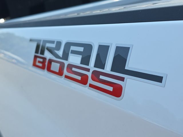 Photo of 2020 Chevrolet Silverado 1500 Custom Trail Boss in Dallas, GA - 10,  2020 Chevrolet Silverado 1500 Custom Trail Boss:44141A