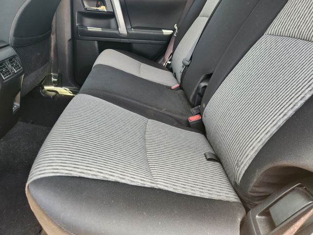 2024 Toyota 4Runner SR5 Blue at Cook Ford