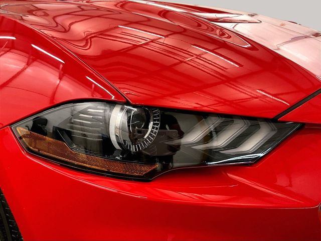 2019 Ford Mustang GT Red at Grove City Ford