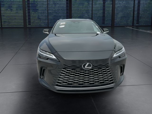 Used 2025 Lexus RX SUV