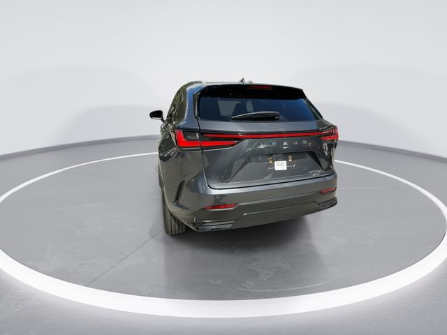 2023 Lexus NX - $41,898
