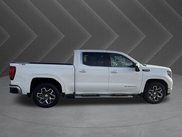 2025 GMC Sierra 1500 SLT - 3