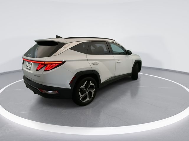 Used 2023 White Hyundai SEL Convenience image 4