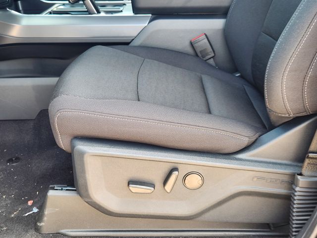 2025 Carbonized Gray Metallic Ford F-150 XLT RWD Truck