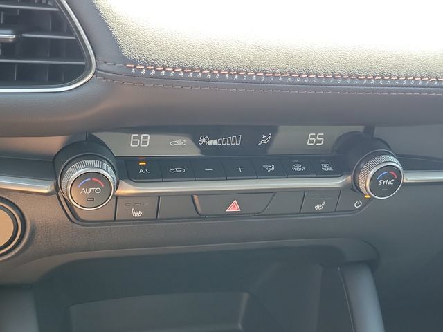 Miniatura 12