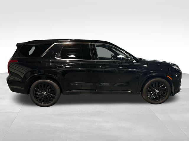 2024 Hyundai Palisade Calligraphy Night Edition - 5