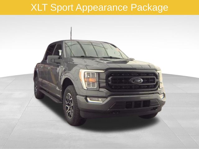 Gray Metallic 2023 Ford F-150 Pickup Truck Four-Wheel Drive Automatic