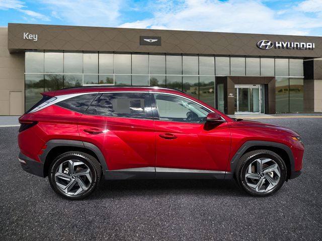 2024 Hyundai Tucson - Image 4