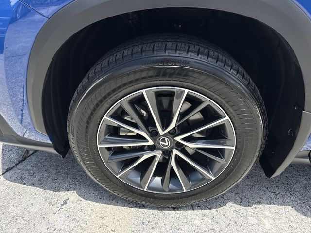 Used 2025 Lexus NX SUV