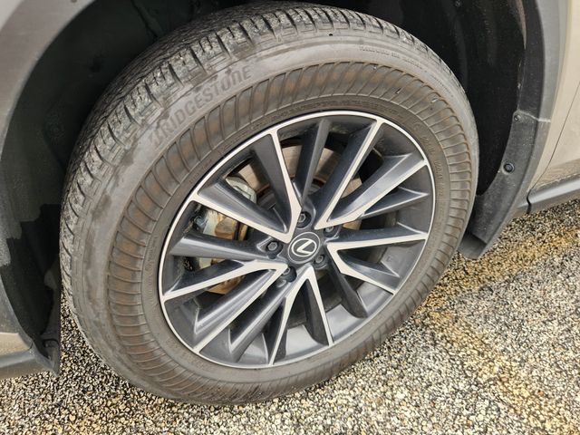 2024 Lexus NX 350h Base Silver at Westside Lexus