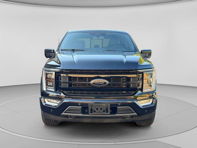 Used 2023 Black Ford Platinum image 8