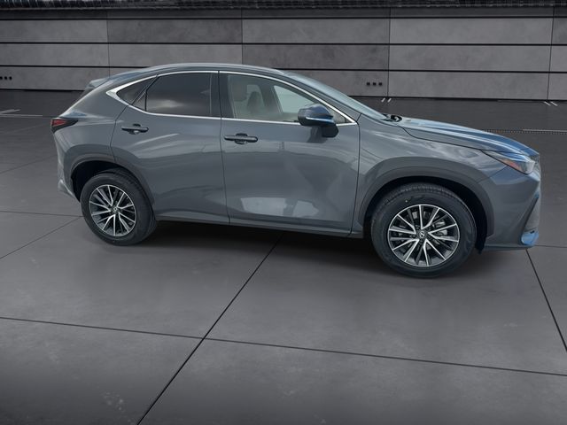 Used 2025 Lexus NX SUV