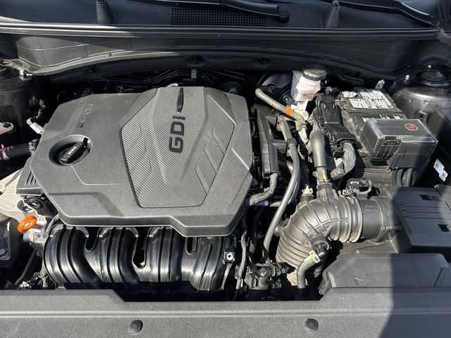 Used 2024 Kia Sportage SUV