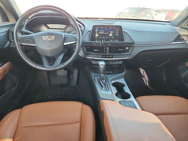 Used Car 2023 Cadillac Ct4  Premium Luxury For Sale Under $30,000 In Plainview, Texas