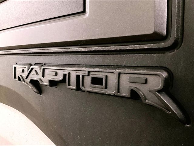 2019 Ford F-150 Raptor White at Luther Ford