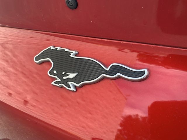 2021 Ford Mustang Mach-E Select photo