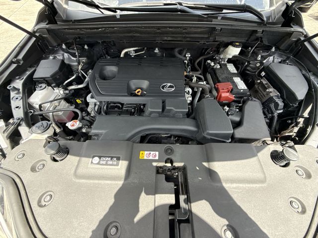 Used 2024 Lexus NX SUV