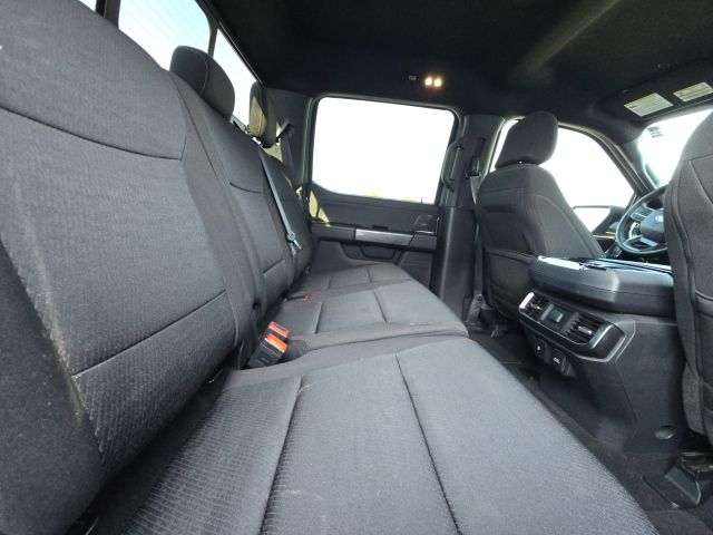 2023 Ford F-150 XLT:169219A1