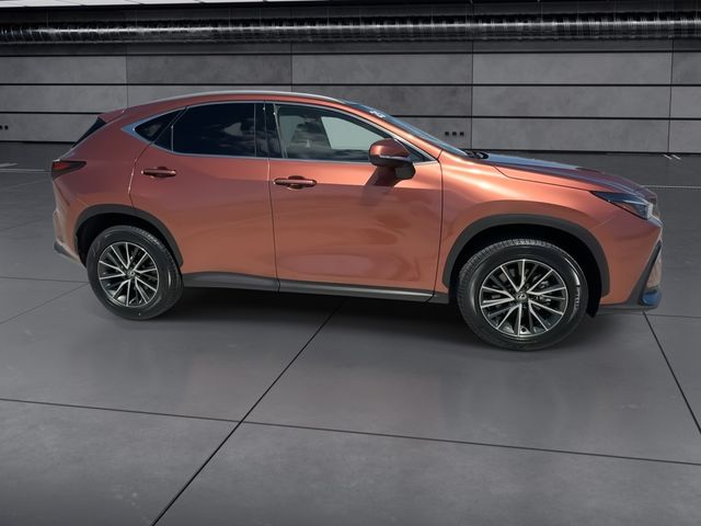 2025 Lexus NX - $38,688