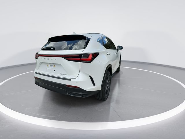 2025 Lexus NX - $37,498
