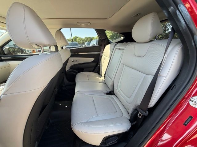 Used 2023 Red Hyundai Limited image 17