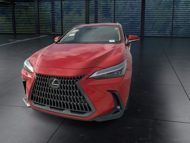 2025 Lexus NX - $49,998