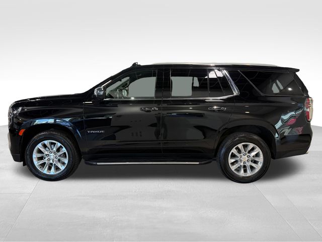 2024 Chevrolet Tahoe Premier Black at Stokes Volkswagen