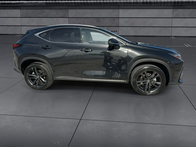 Used 2025 Lexus NX SUV