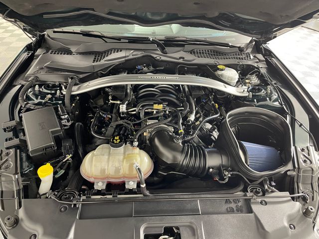 Used 2019 Ford Mustang Bullitt For Sale in Bremerton, WA