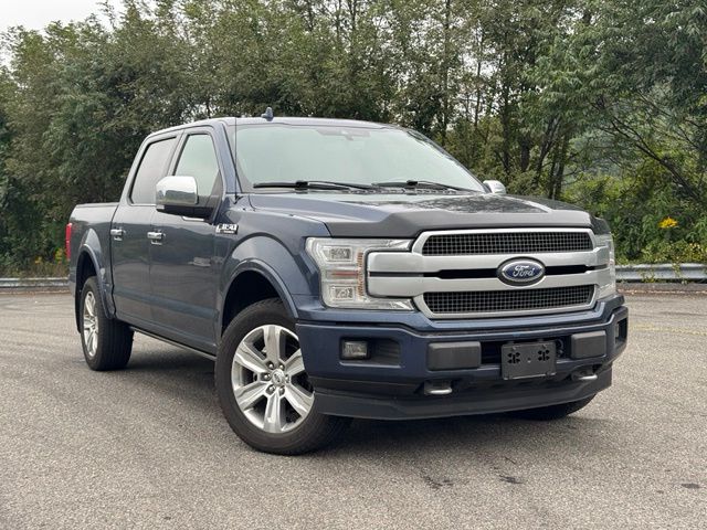 2019 Ford F-150 Platinum SuperCrew 4WD