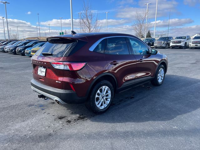 Used 2021 Ford Escape For Sale in Grove City, OH